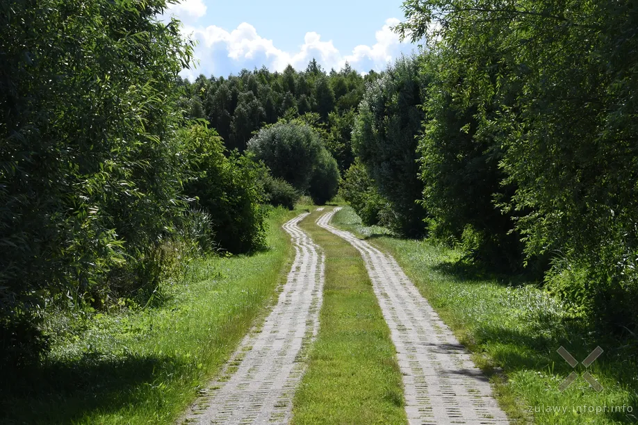 Aleja prowadząca do Półmieścia