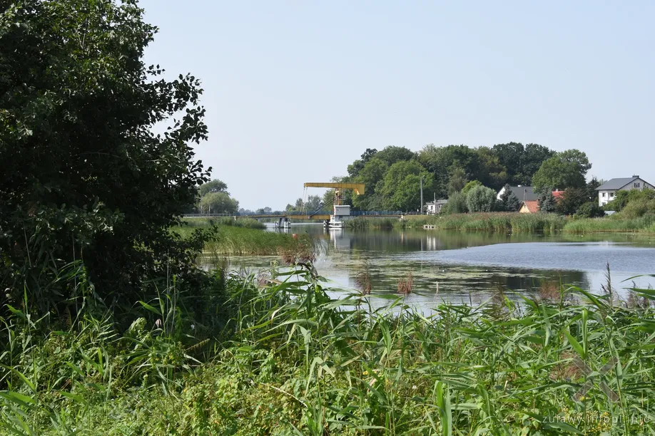 Most nad Szkarpawą w Rybinie