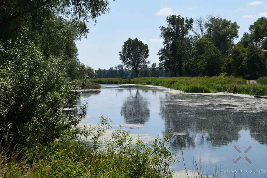 Nad Motławą