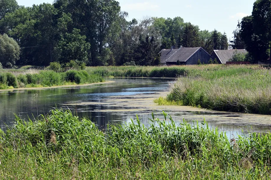 Nad Motławą