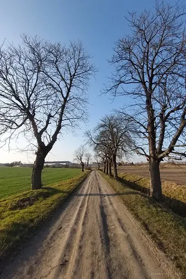 Pojezierze Dzierzgońsko-Morąskie