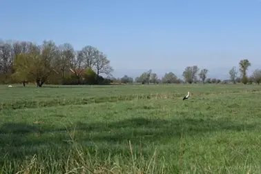 Karczowiska Górne i zasłonięty dom podcieniowy