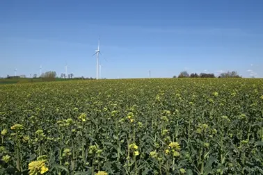 Pojezierze Dzierzgońsko-Morąskie