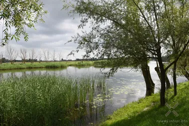 Wzdłuż kanałów i rzek przez Żuławy Malborskie i Żuławy Elbląskie