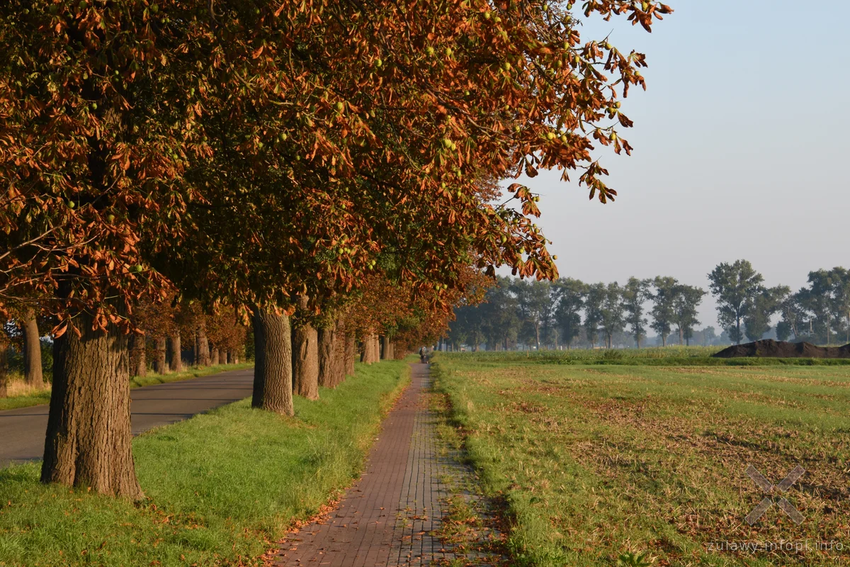 Malbork-Tralewo