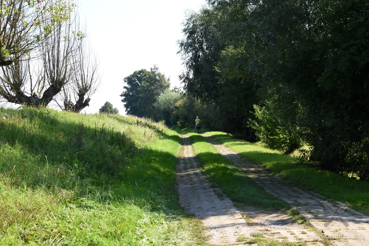 Nad Szkarpawą, odcinek Chełmek - Osłonka