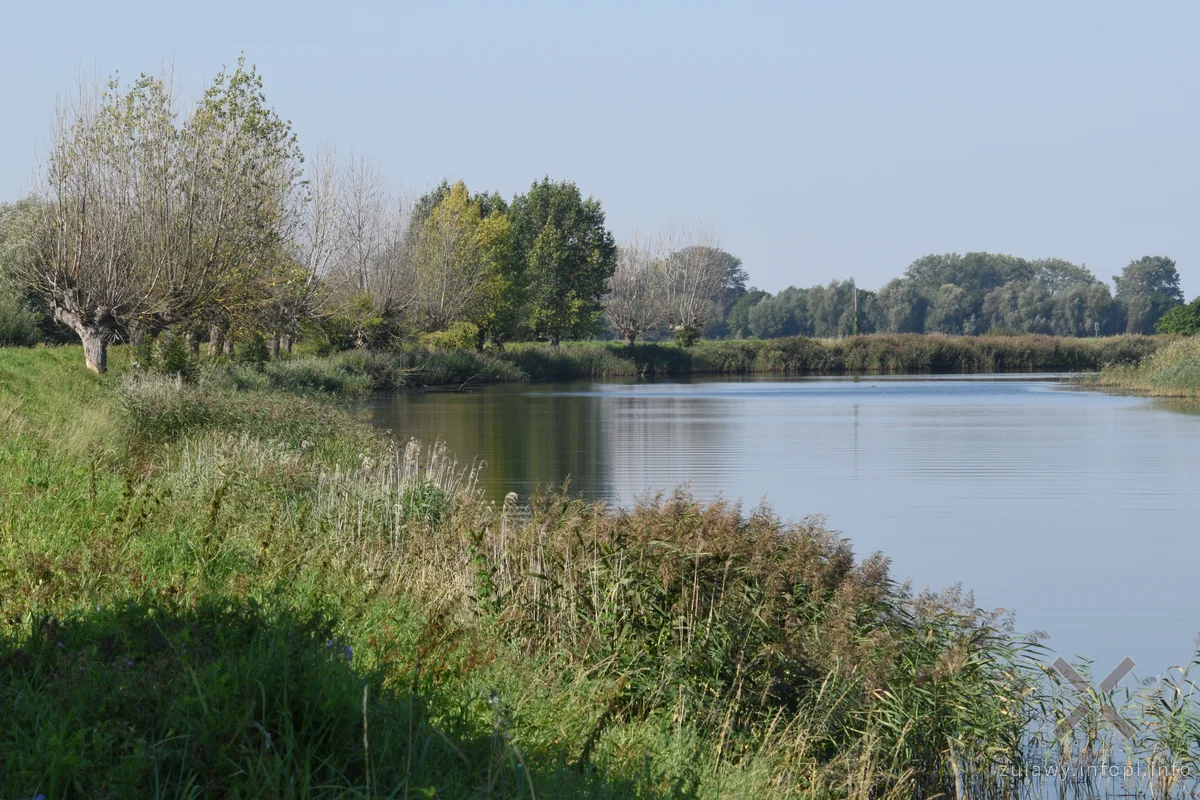 Nad Szkarpawą, odcinek Chełmek - Osłonka