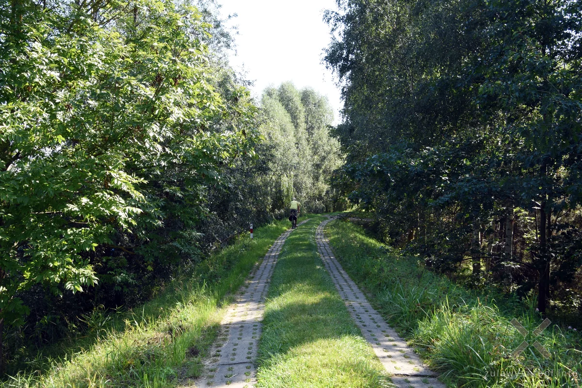 Nad Szkarpawą, odcinek Chełmek - Osłonka