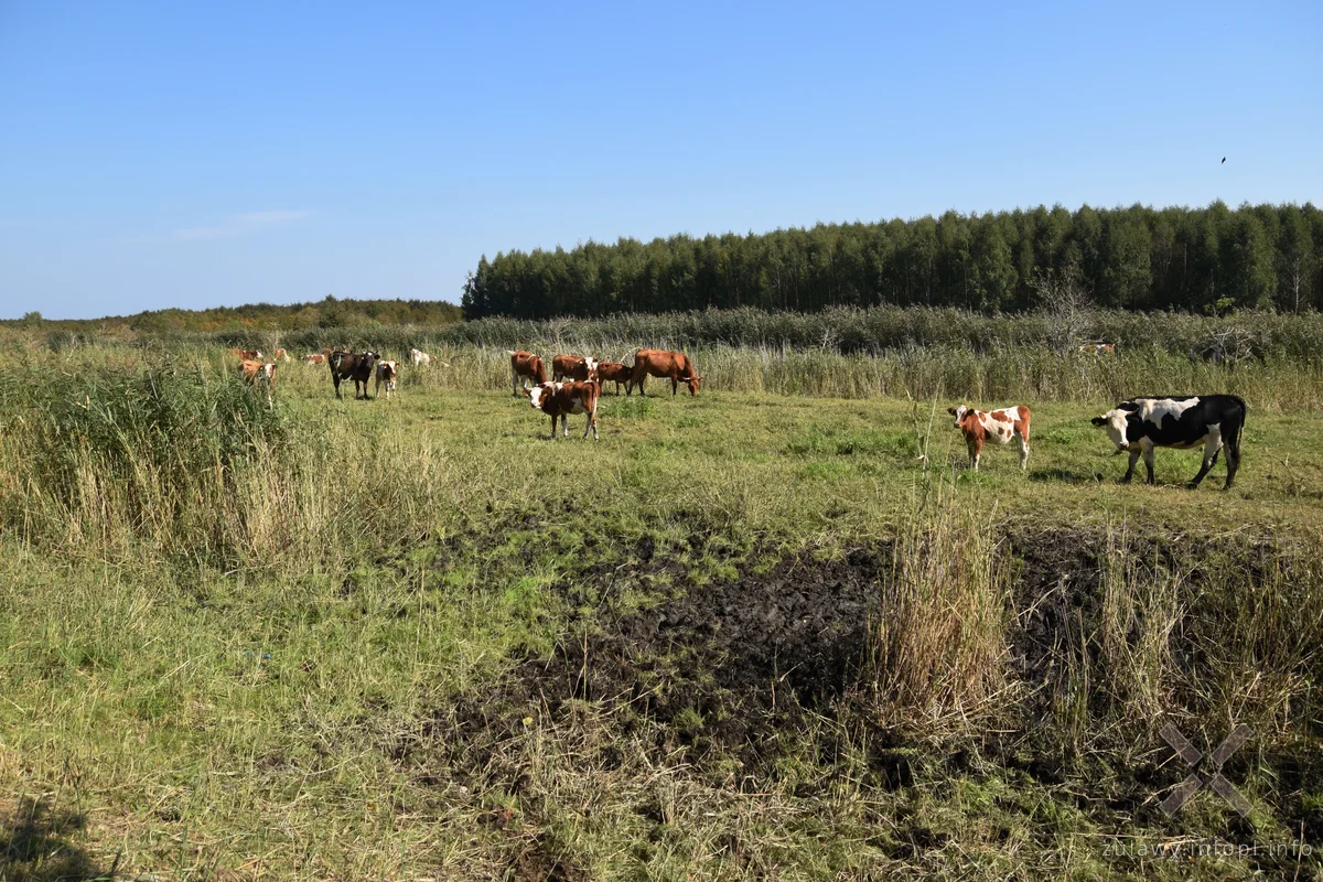 Nad Kanałem Panieńskim