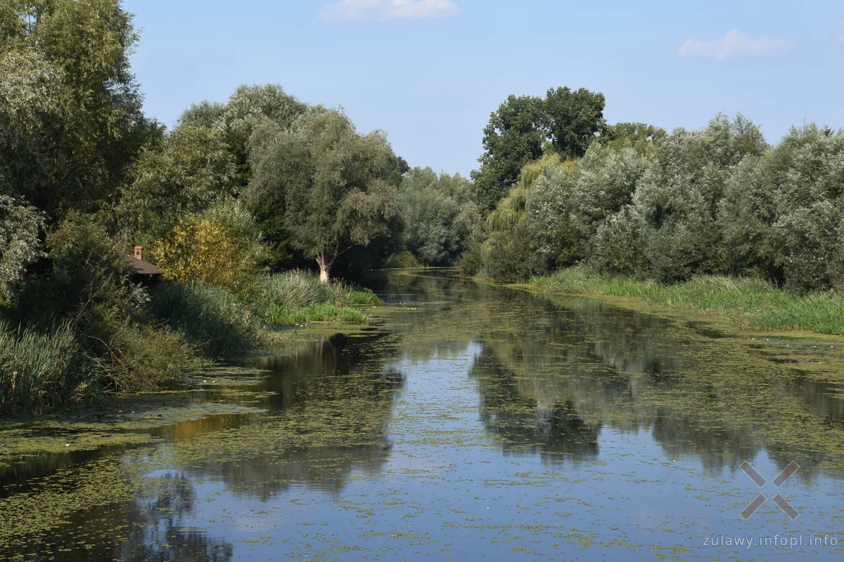 Widok z mostu na Kanale Panieńskim w Marzęcinie