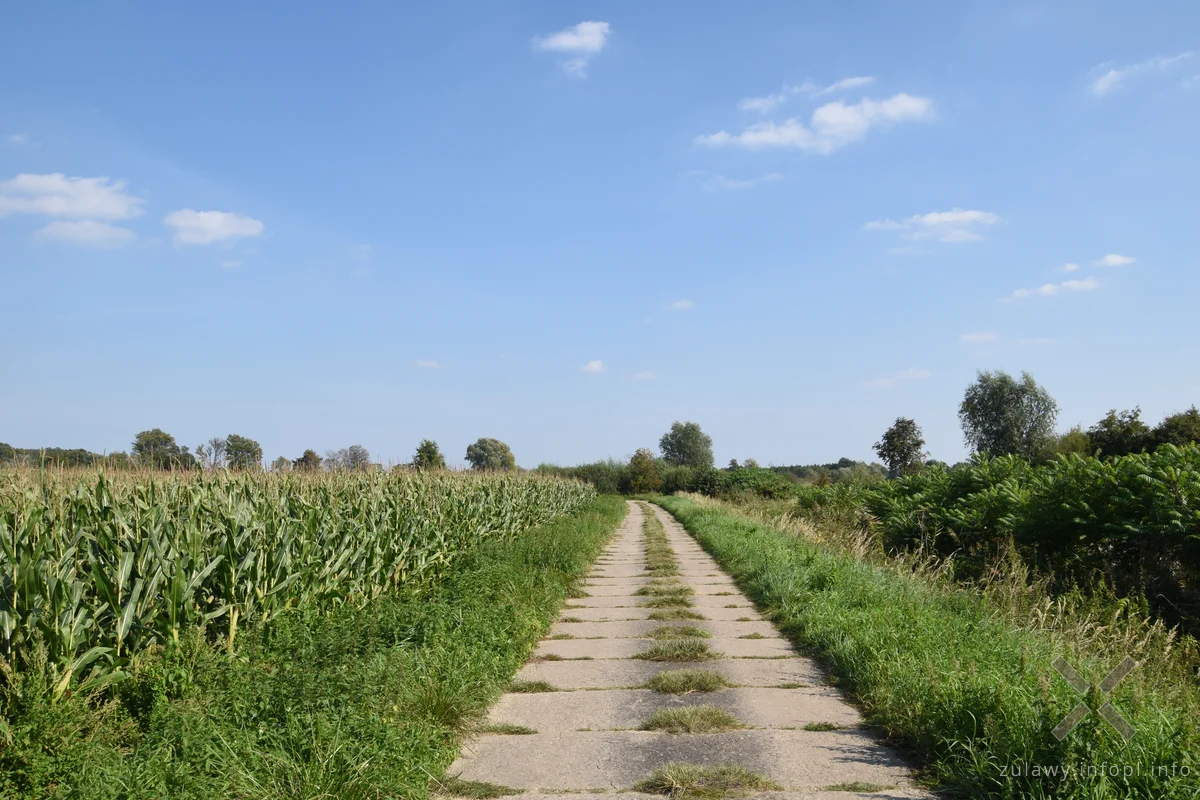 Odcinek Marzęcino - Rakowiska