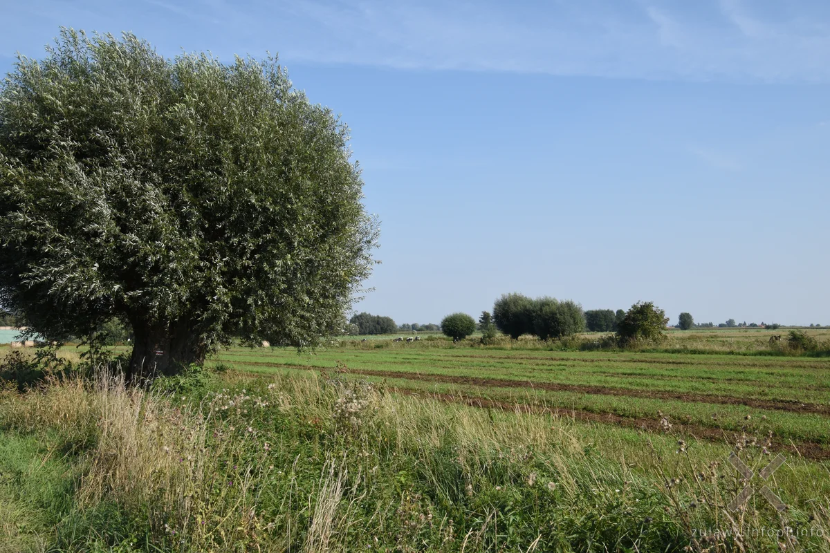 Odcinek Marzęcino - Rakowiska