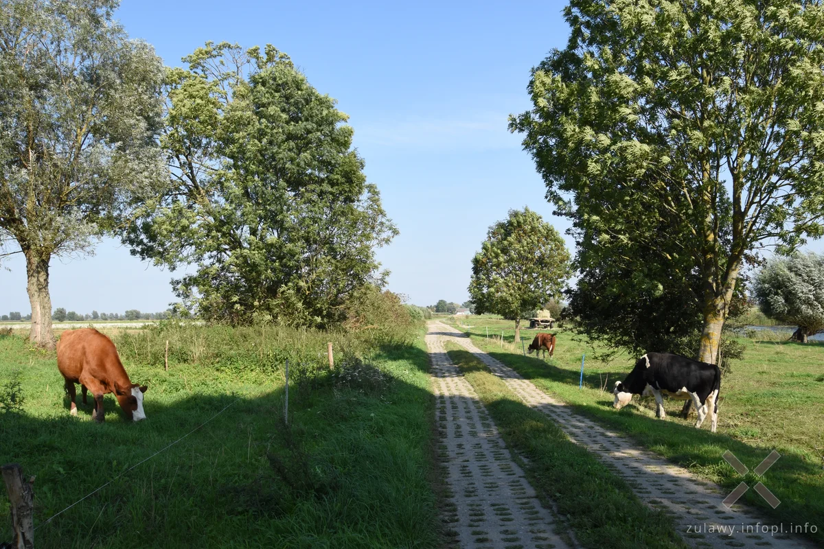 Odcinek Marzęcino - Rakowiska