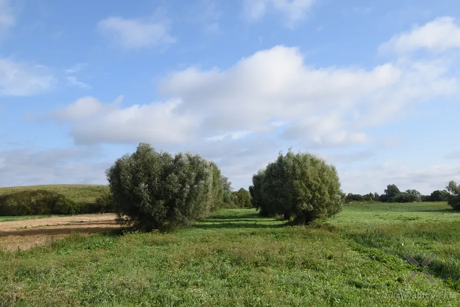 Koślinka - Pietrzwałd