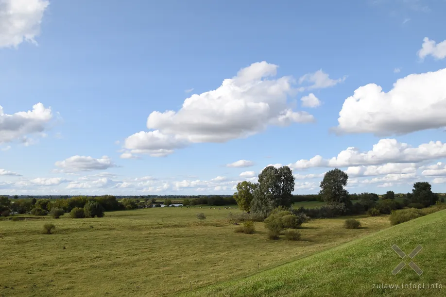 Wisła i jej polder