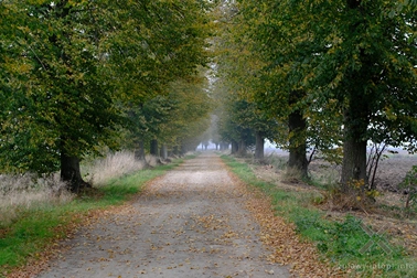 Jesień we mgle i w słońcu