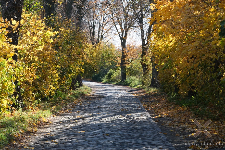 Pojezierze Dzierzgońsko-Morąskie