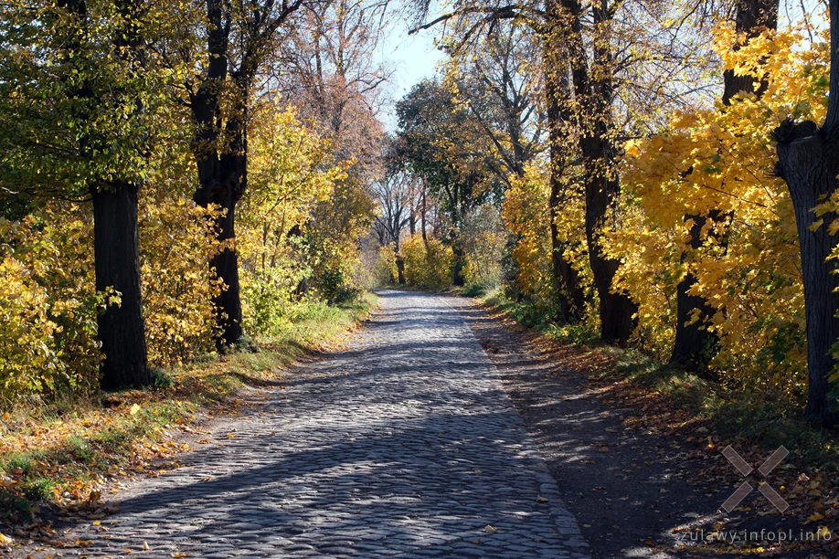 Pojezierze Dzierzgońsko-Morąskie