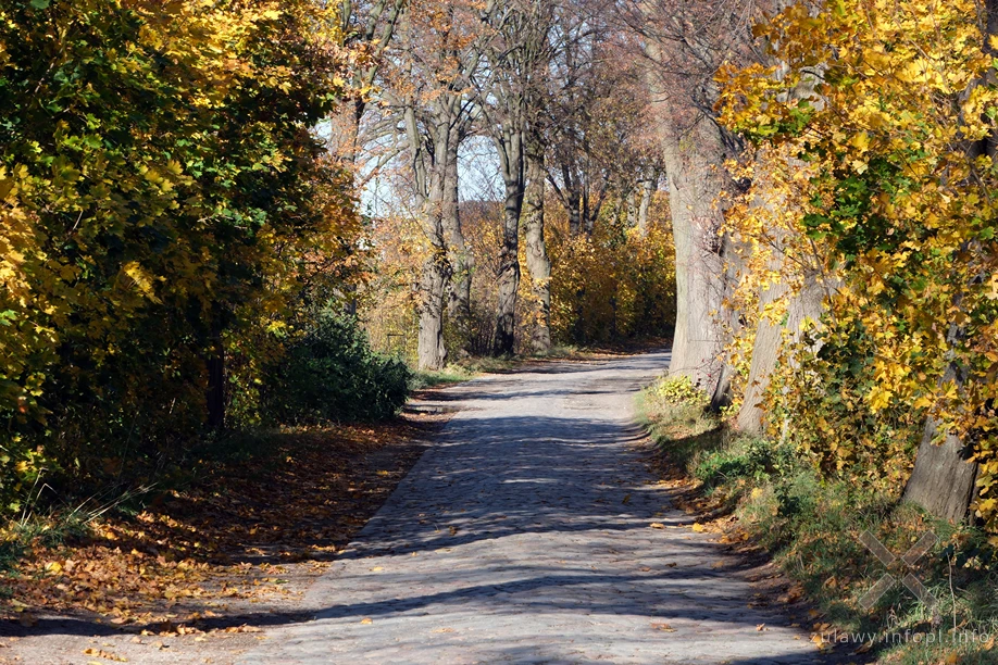 Pojezierze Dzierzgońsko-Morąskie