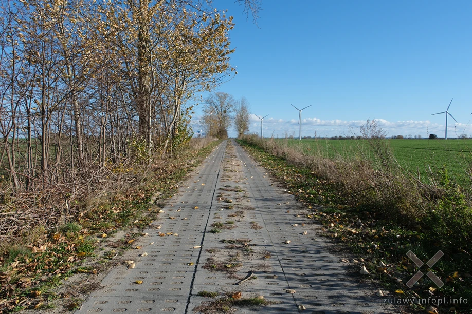 Pojezierze Dzierzgońsko-Morąskie