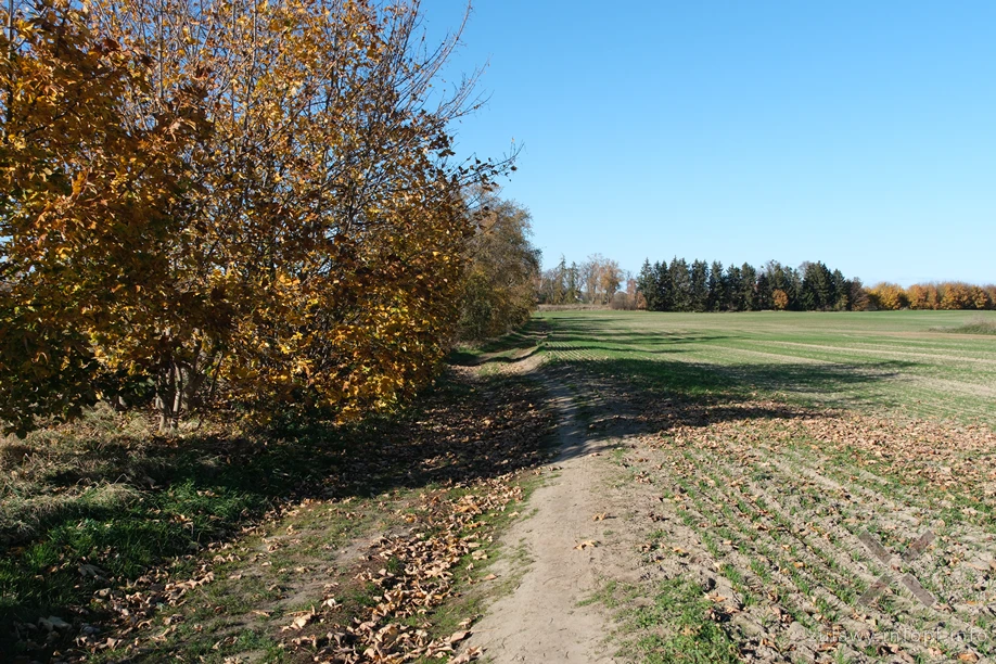 Pojezierze Dzierzgońsko-Morąskie