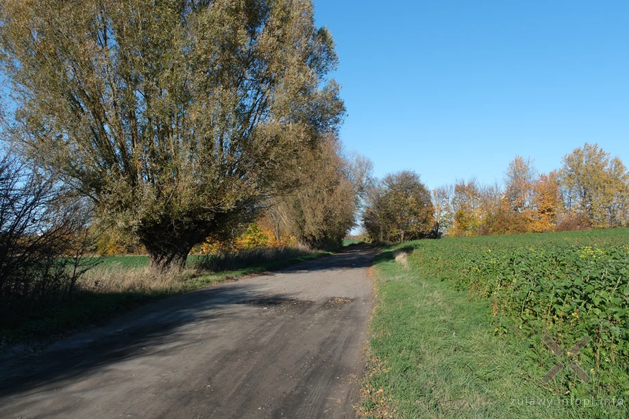 Pojezierze Dzierzgońsko-Morąskie