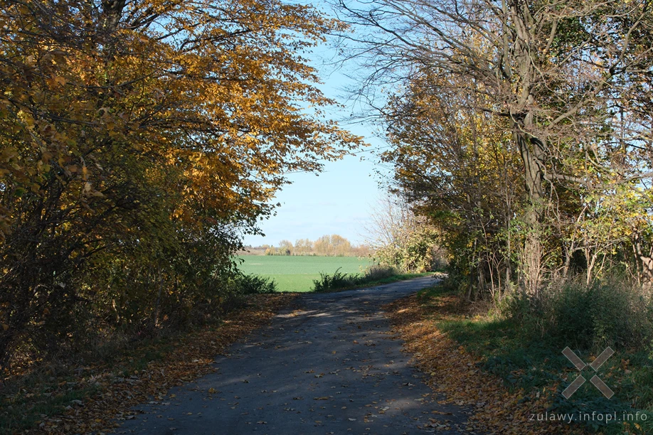 Pojezierze Dzierzgońsko-Morąskie