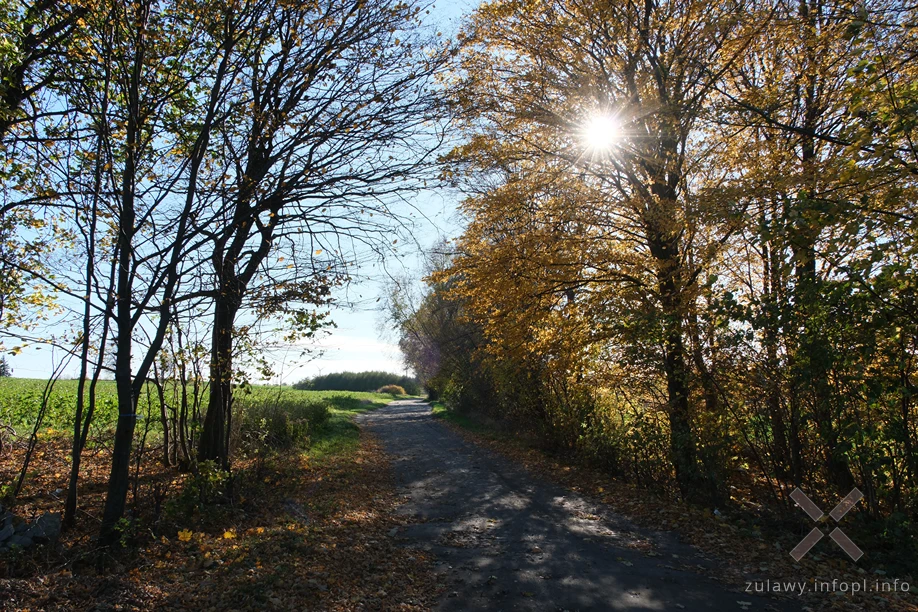 Pojezierze Dzierzgońsko-Morąskie