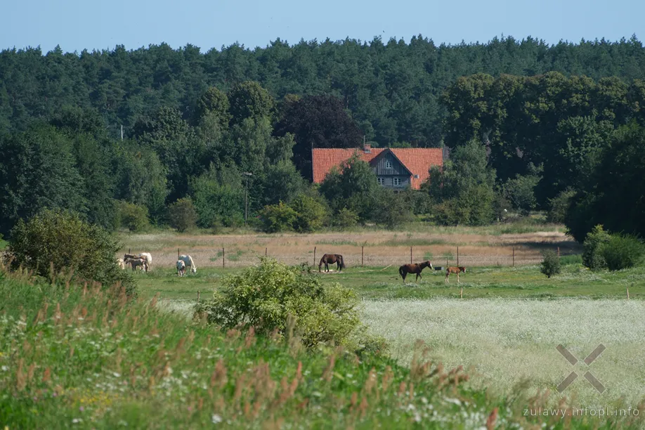 Mikoszewo i dom podcieniowy przy wale