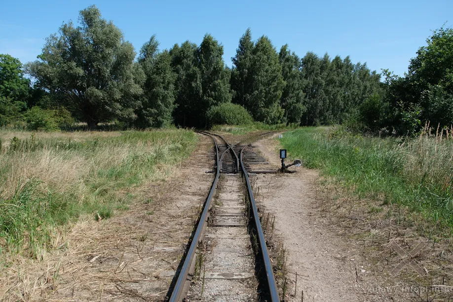 Rozjazd trójkąta Krynica Morska – Sztutowo