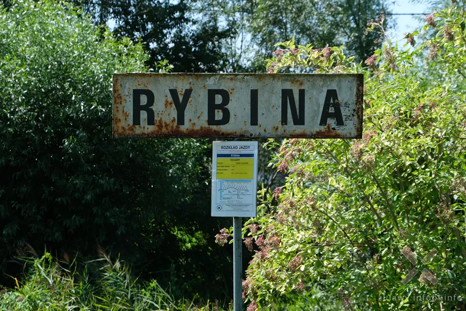 Rybina