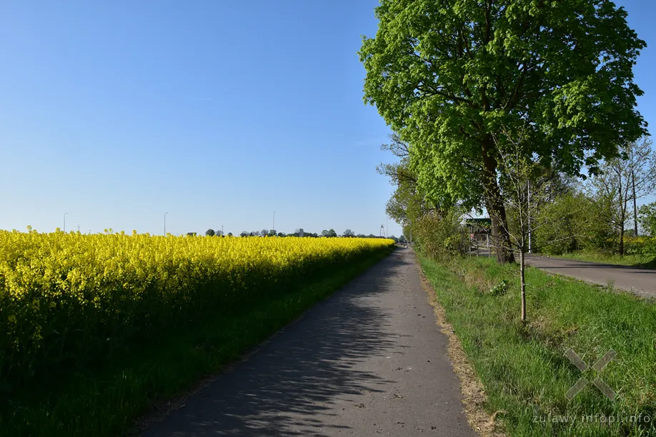 Ścieżka rowerowa na torowisku w Kończewicach