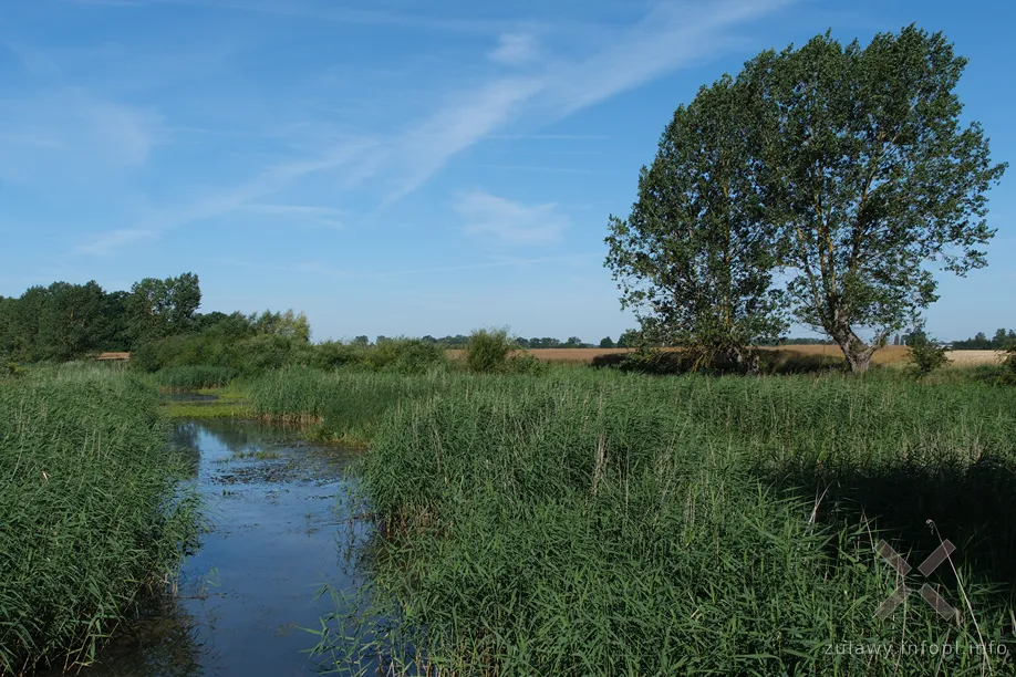 Nad rzeką Świętą w Laskach