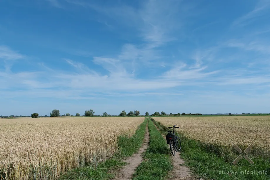 Tor na odcinku Jeziernik – Nowa Kościelnica