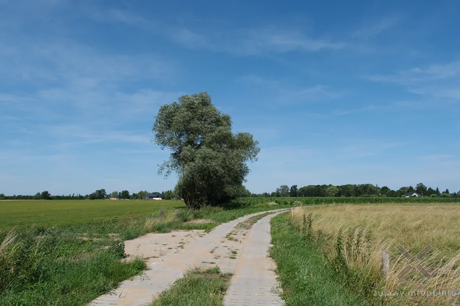 Miejsce historyczne na odcinku Pułkownikówka – Nowa Kościelnica