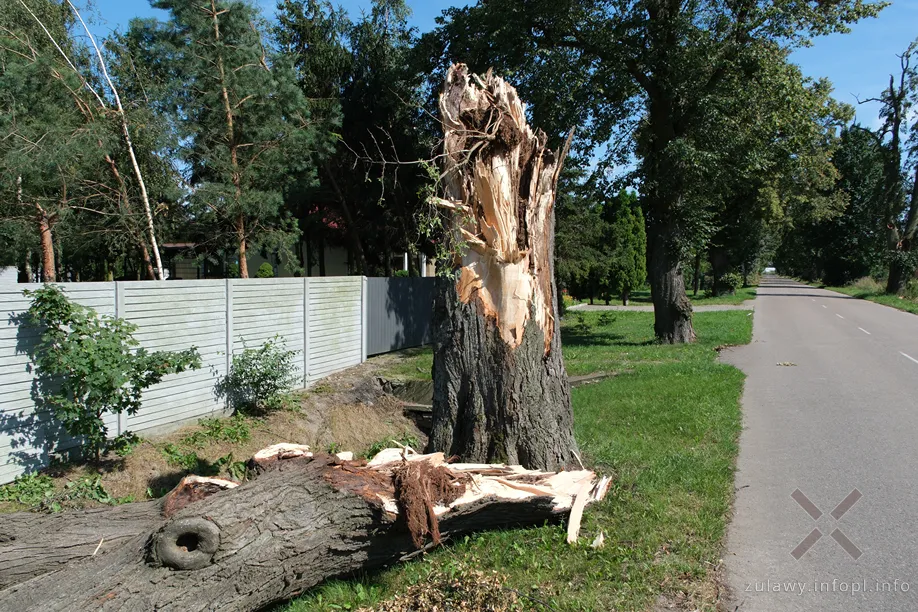 Skutki wichury w powiecie malborskim