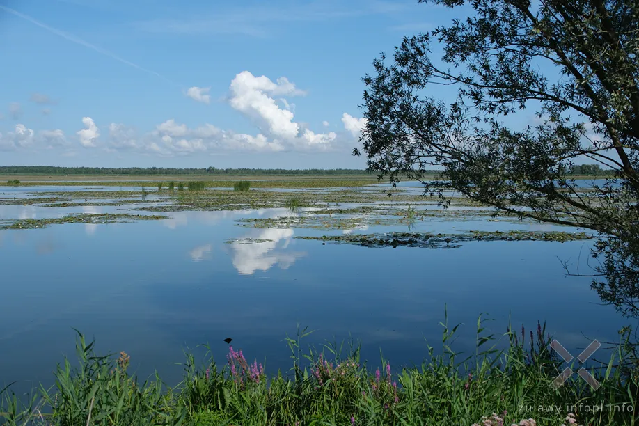 Okolice Dłużyny