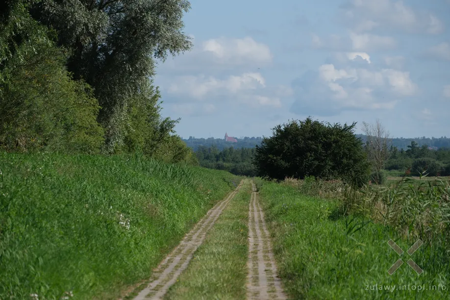 Okolice Dłużyny- widok na Wysoczyznę Elbląską i Przezmark