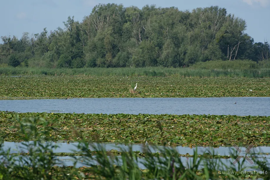 Okolice Dłużyny