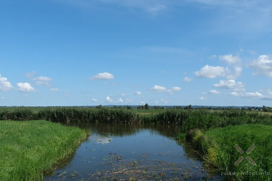 Okolice Dłużyny