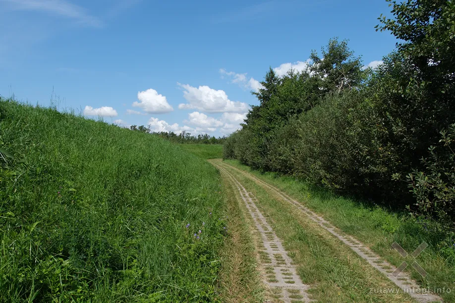 Okolice Dłużyny