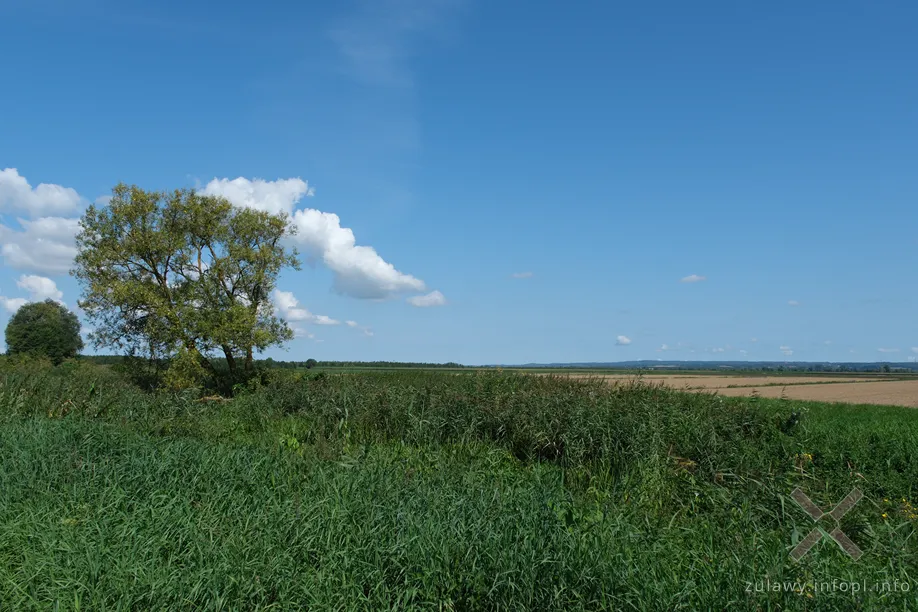 Okolice Topolna Małego