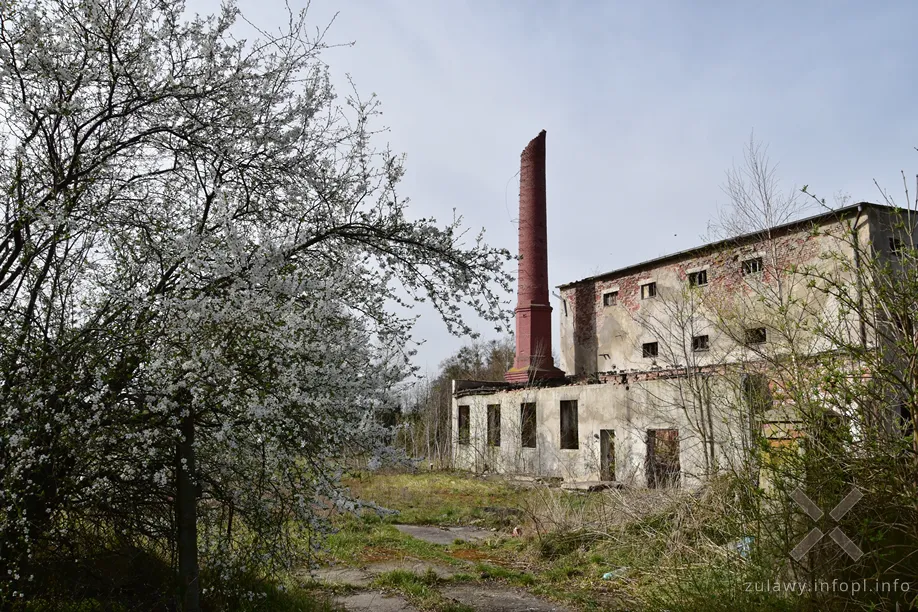 Ruina gorzelni w Gościszewie