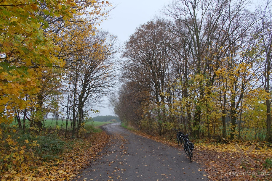 Pojezierze Dzierzgońsko-Morąskie