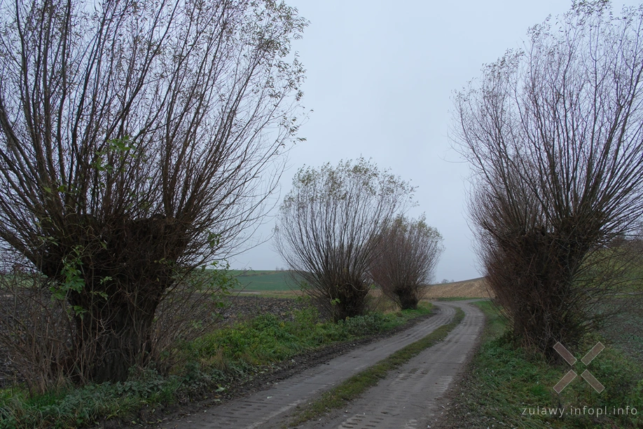 Pojezierze Dzierzgońsko-Morąskie