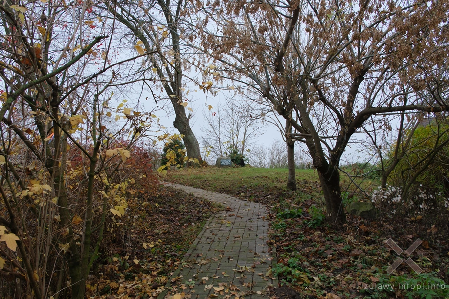 Pojezierze Dzierzgońsko-Morąskie- cmentarz w Koślince