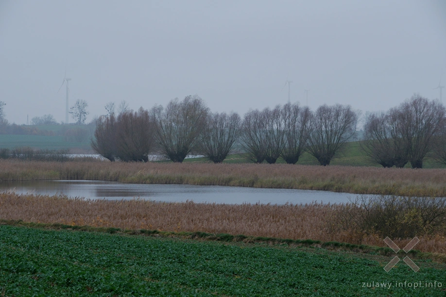 Pojezierze Dzierzgońsko-Morąskie