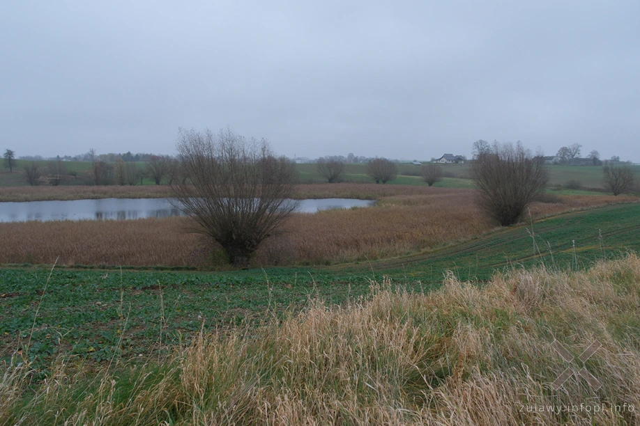 Pojezierze Dzierzgońsko-Morąskie