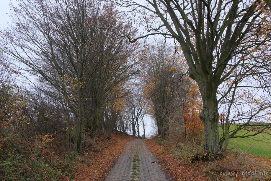 Pojezierze Dzierzgońsko-Morąskie