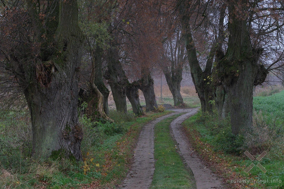 Pojezierze Dzierzgońsko-Morąskie